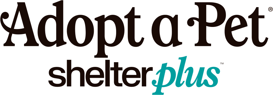AAP_Shelter-Plus_Logo_TM.png